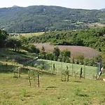 Casa Uliveto In Molino Vitelli *